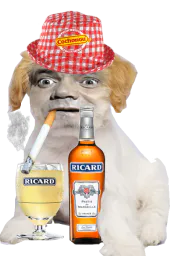 :chien_bourdon_marlou: