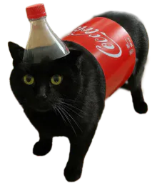 :Cocha: