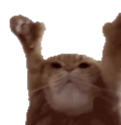:Chat_danser: