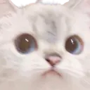 Risitos
