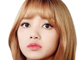 :lisa22: