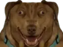 :Teddi-Taraxv4: