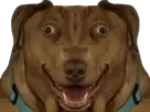 :Teddi-Taraxv4: