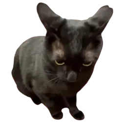 :ATK: