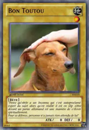 :Toutou: