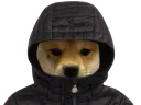 :ChienCapuche: