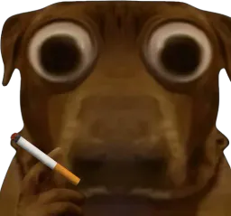 :teddicig: