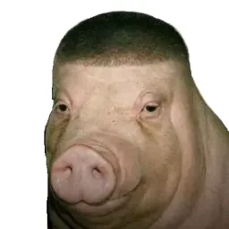 :wiggerpig: