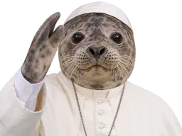:mifoca: