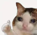 :Tristouchatteok: