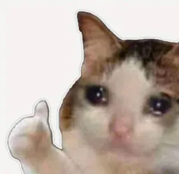 :Tristouchatteok: