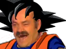 :Goku_rit: