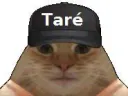 :chat_tare: