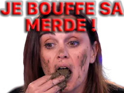 :merde4: