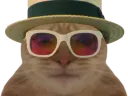 :chat_miami:
