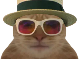 :chat_miami: