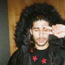 Fakemink