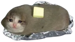 :drop_le_sad_water_cat: