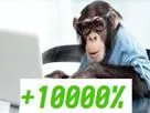 :Crypto_trader_winner_monkey: