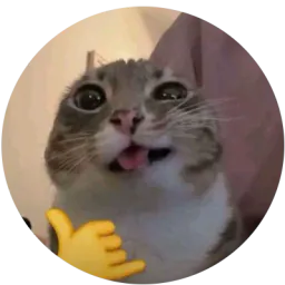 :yeahh: