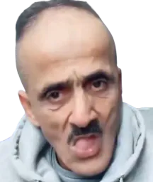 :DZ_bilwili: