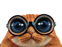 :NerdCat: