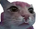 :Chatemo: