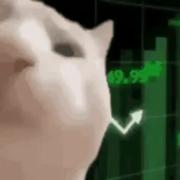 :Stonko_chat: