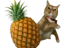 :Catananass: