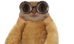 :chat_lunette_peluche2: