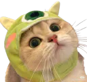 :Chaat_bonnet: