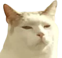:Momoed: