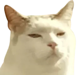 :Momoed: