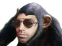 :pnl_singe: