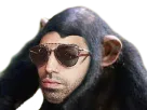 :pnl_singe: