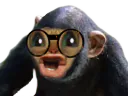 :chatsinge: