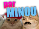 :chatretou3: