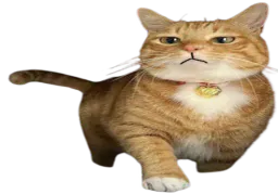 :chatroi: