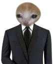 :gentlecat: