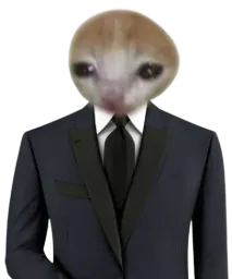 :gentlecat: