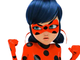 :ladybug_allez: