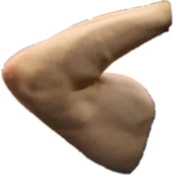 :Biceps: