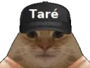 :casquette_tare: