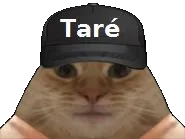 :casquette_tare: