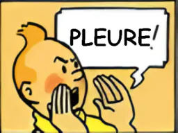 :tintinpleure: