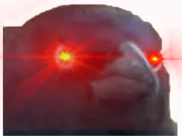 :Corbeaux: