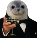 :phoquesante: