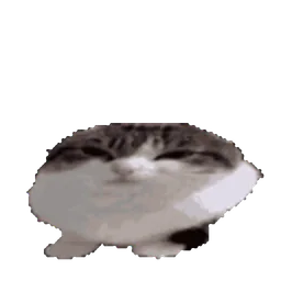 :chat_bounce: