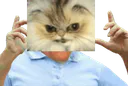 :ChatMacheLoco:
