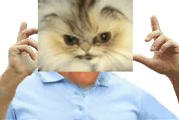 :ChatMacheLoco:
